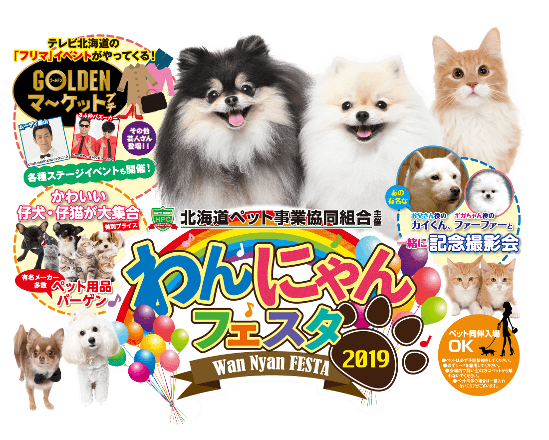 札幌市北区のブリーダー直営ペットショップ｜ペットショップだんぼ